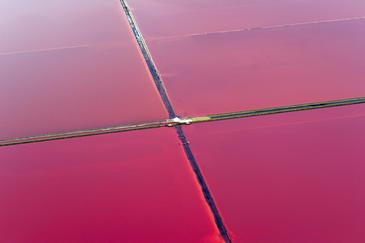SaltMarshes, Camargue, France. © Etienne Pierart